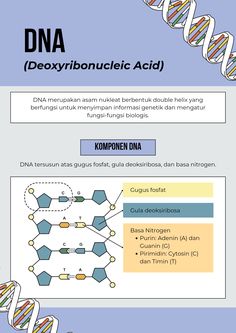 the diagram shows different types of proteins and their names