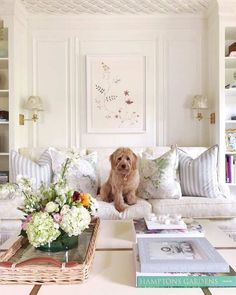 a dog sitting on top of a couch in a living room