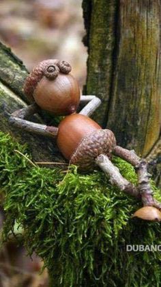 a small figurine sitting on top of a moss covered tree