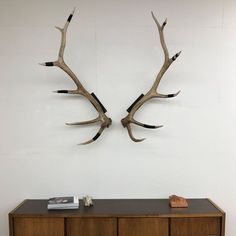 two deer antlers mounted on the wall above a dresser