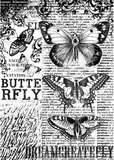 butterflies and moths are featured in this black and white illustration on an old newspaper page