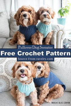 two dogs wearing sweaters sitting on a couch with the text, free crochet pattern