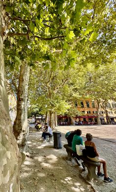 people are sitting on benches under the trees