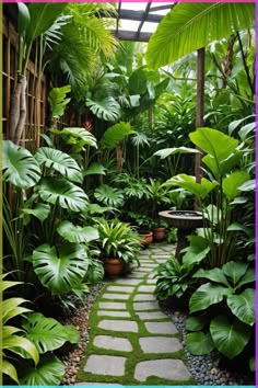 a garden with lots of green plants and rocks