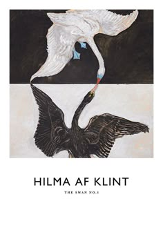 two white birds flying next to each other on a black and white background with the words, hima af klinit