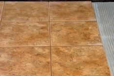 an orange cat sitting on the floor in front of a tile floor with grouting