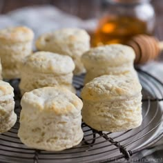 small biscuits cooling on a wire rack with honey in the backgroung behind them