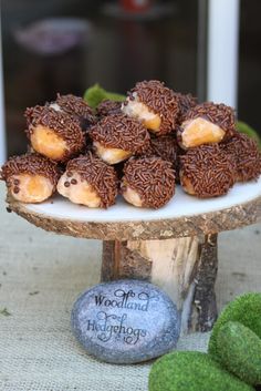 chocolate covered donuts sitting on top of a white plate next to green grass and rocks