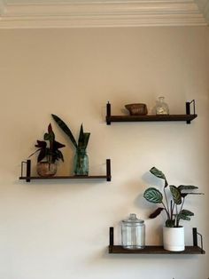 two shelves with plants and vases on them against a wall in a living room