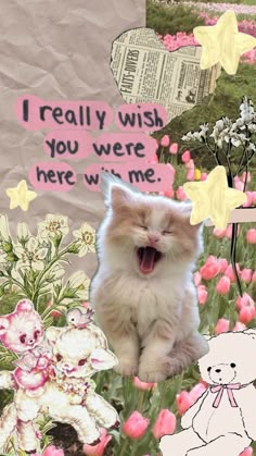 a cat is sitting in the middle of some flowers and has its mouth wide open to say, i really wish you were here with me