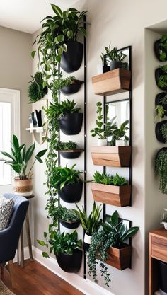 there are many potted plants on the wall