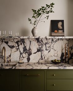 a kitchen with marble counter tops and green cabinetry in the backround, next to a potted plant