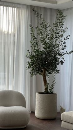 a potted plant sitting on top of a table next to a white chair in front of a window