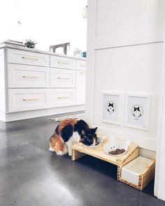 a cat eating food out of a bowl on top of a wooden table in a kitchen