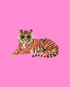 a tiger wearing sunglasses laying down on a pink background