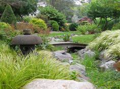 a garden filled with lots of plants and rocks