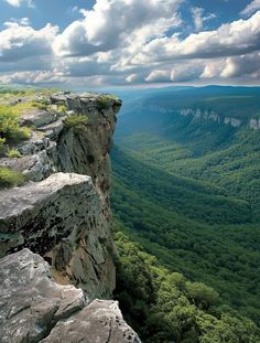 the view from the top of a cliff looking down on trees and mountains in the distance