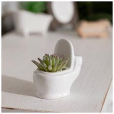 a small white potted plant sitting on top of a table