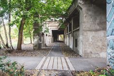 an old building with graffiti on the walls and trees growing out of it's sides