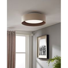 a white ceiling light hanging from the ceiling in a living room next to a potted plant