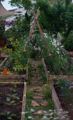 an outdoor garden with many different types of plants