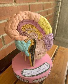 a model of the human brain sitting on top of a wooden table next to a brick wall