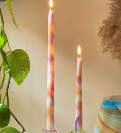 two candles sitting on top of a table next to a vase and potted plant