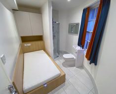 a bathroom with a bed, toilet and shower