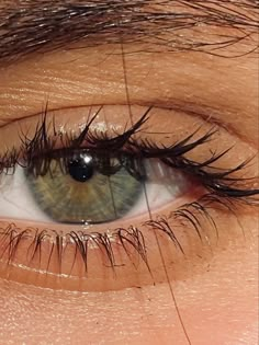 this is about the impresive green eyes they look like gorgeous💜 Forest Green Eyes, Desired Eyes, Green Brown Eyes, Dark Green Eyes, Hazel Green Eyes, Blue Eye Color, Beautiful Green Eyes, Watercolor Eyes