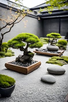 a bonsai garden with rocks and trees in the center, surrounded by gravel stones