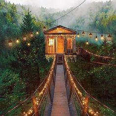 a wooden cabin with lights strung across the walkway