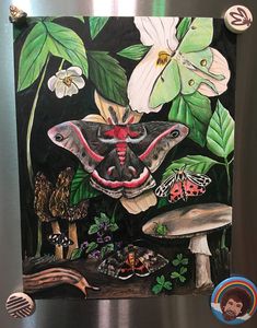 an image of a painting on the side of a refrigerator with butterflies and moths around it