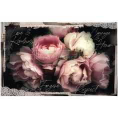 some pink flowers are in a black and white frame with writing on the bottom right corner