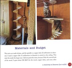 a cat sitting on top of a spiral staircase next to a doorway and another photo