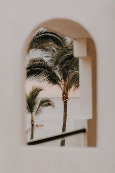 palm trees are seen through an arch in a wall near the ocean at sunset or dawn