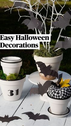 three potted plants decorated with bats and moss on a white wooden table in the yard