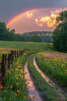 a rainbow over a field with flowers and a dirt path leading to the fenced in area