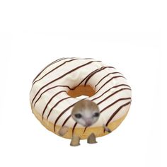 a donut with chocolate icing and a mouse on it's back legs