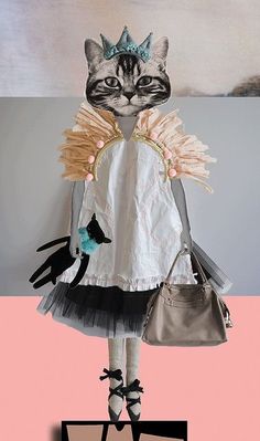 a cat wearing a dress and holding a handbag on top of a pink background