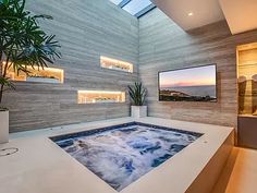 an indoor hot tub in a modern bathroom with skylights above it and plants on the side