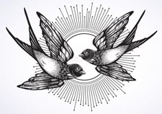 two birds flying in the sky with sunbursts around them, hand drawn illustration