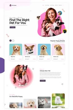 Site Design Ideas Logistics Design, Pet Shelter, Feminine Wordpress Theme, Best Landing Pages, Etsy Shop Banner