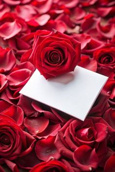 a bunch of red roses that are laying on top of each other with a white box in the middle