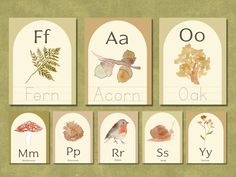 four cards with different types of plants and animals on them, each containing the letter o