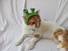 an orange and white cat wearing a green crocheted hat on top of it's head