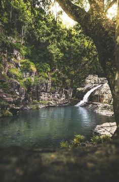 a small waterfall in the middle of a forest