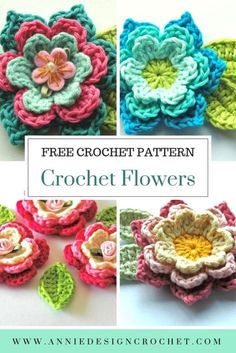 crochet flowers are shown with the text free crochet pattern on it