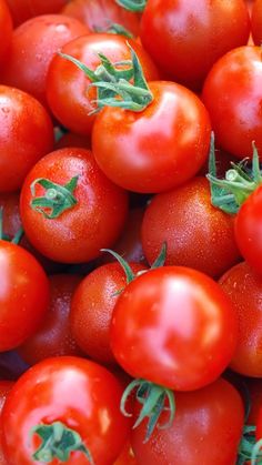 a pile of red tomatoes with green leaves on them