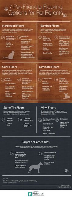 the info sheet for pet friendly flooring options for pet parents, including laminate floors and hardwood floors