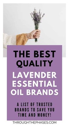 The Top 8 Best Lavender Essential Oils of 2023 Essential Oil Products, Essential Oil Brands, Lavender Benefits, Plant Therapy, Holistic Living, Healthy Lifestyle Tips, Organic Health, Love Yourself Quotes